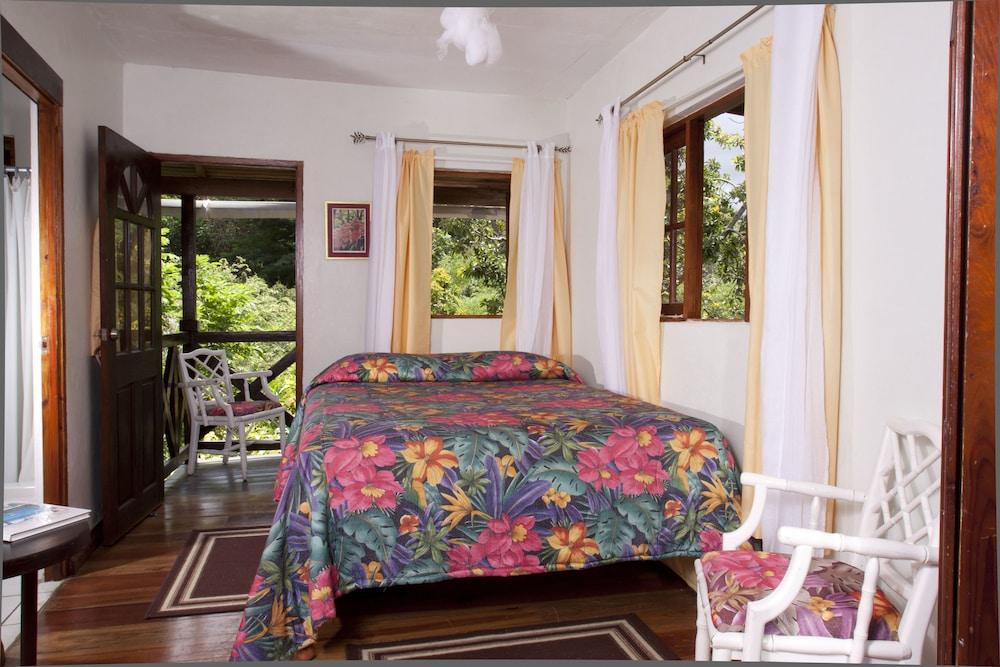 Forres Park Hotel Kingston Dış mekan fotoğraf